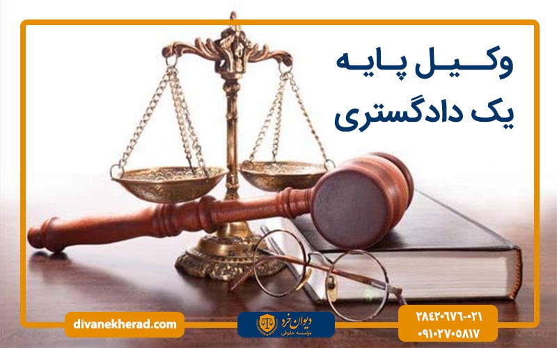 انواع وکیل حقوقی