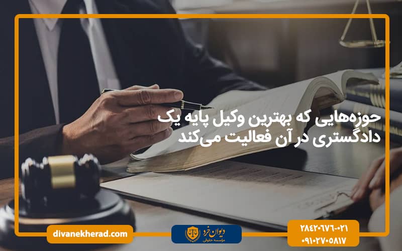 حوزه‌هایی که بهترین وکیل پایه یک دادگستری در آن فعالیت می‌کند