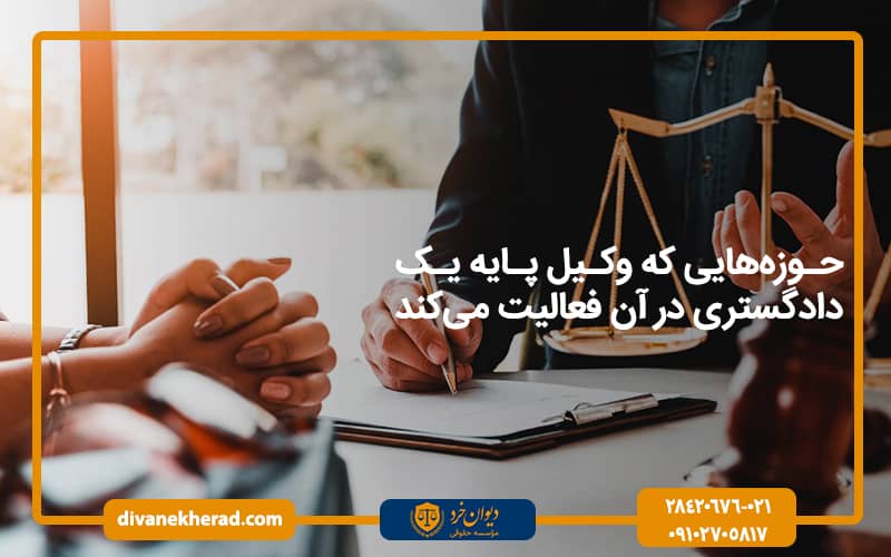 حوزه‌هایی که وکیل پایه یک دادگستری در آن فعالیت می‌کند