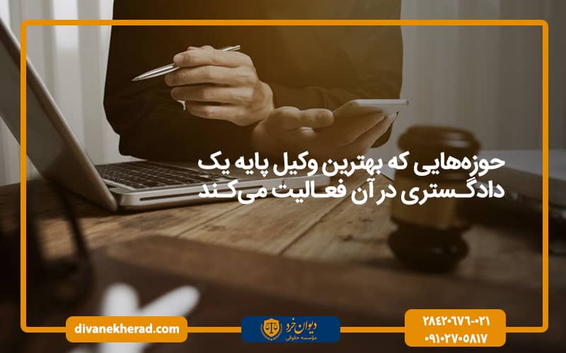 حوزه‌هایی که بهترین وکیل پایه یک دادگستری در آن فعالیت می‌کند